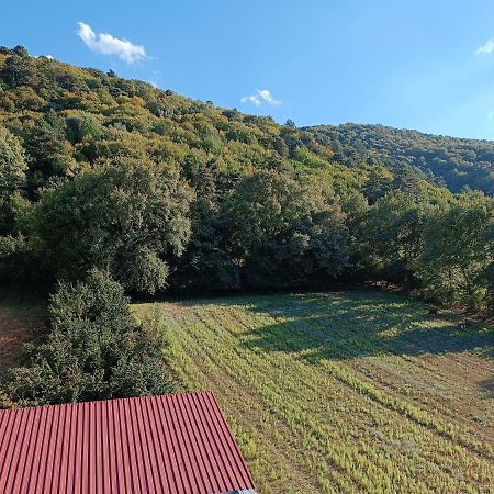 Mekan Ilica Apart Otel Karacasu  Exteriér fotografie